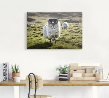 Artland Leinwandbild Schaf, Haustiere (1 St), auf Keilrahmen gespannt
