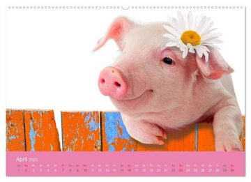 CALVENDO Wandkalender Süße Tier-Babys! (Premium, hochwertiger DIN A2 Wandkalender 2023, Kunstdruck in Hochglanz)