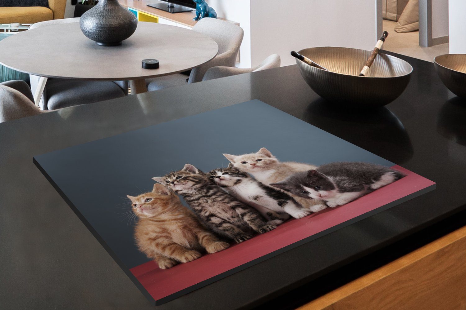 (1 Mobile - Tiere, Herdblende-/Abdeckplatte Arbeitsfläche - Vinyl, 70x52 cm, nutzbar, MuchoWow Kätzchen Ceranfeldabdeckung tlg), Katze