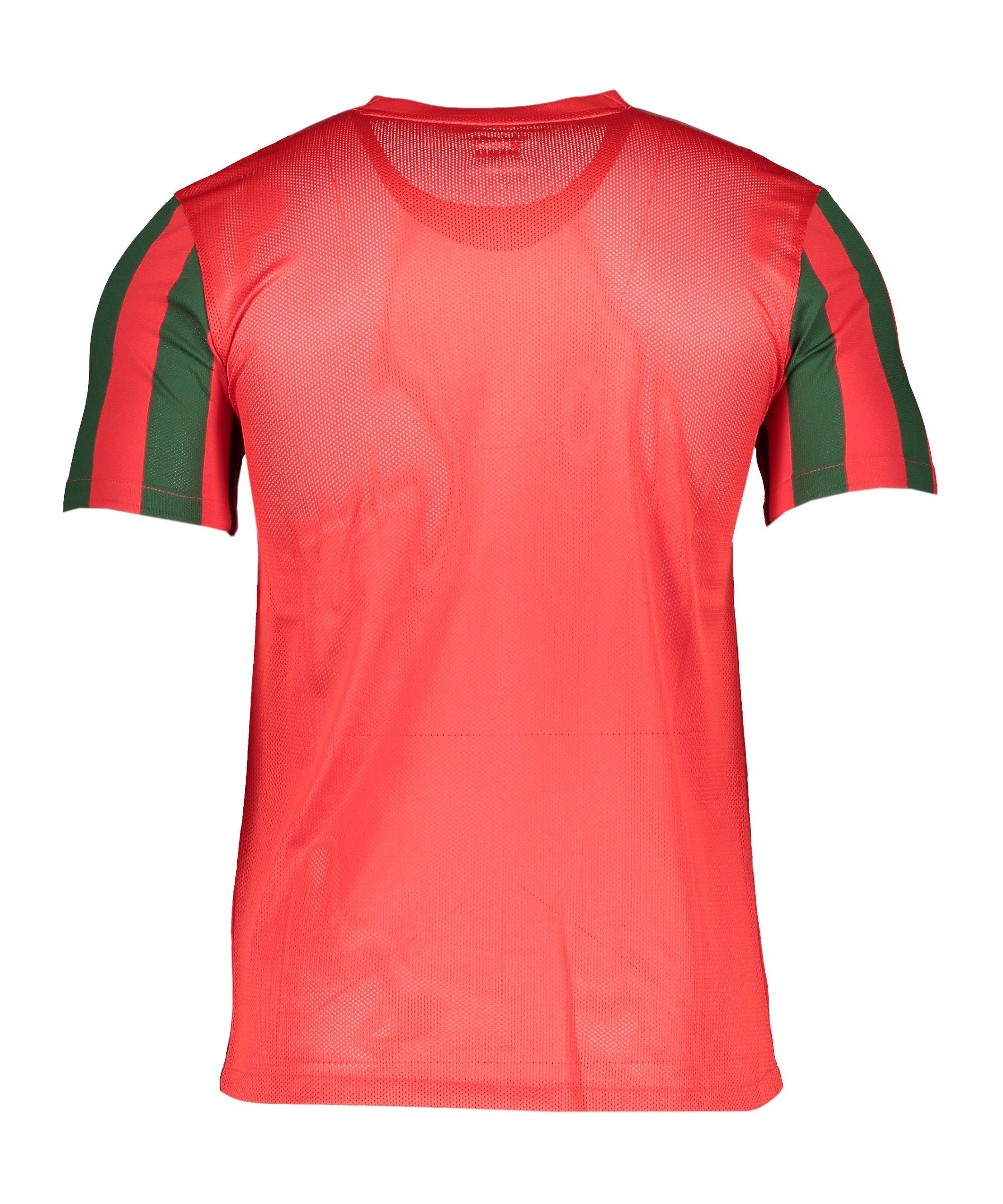 Nike Fußballtrikot Nike Performance Teamsport