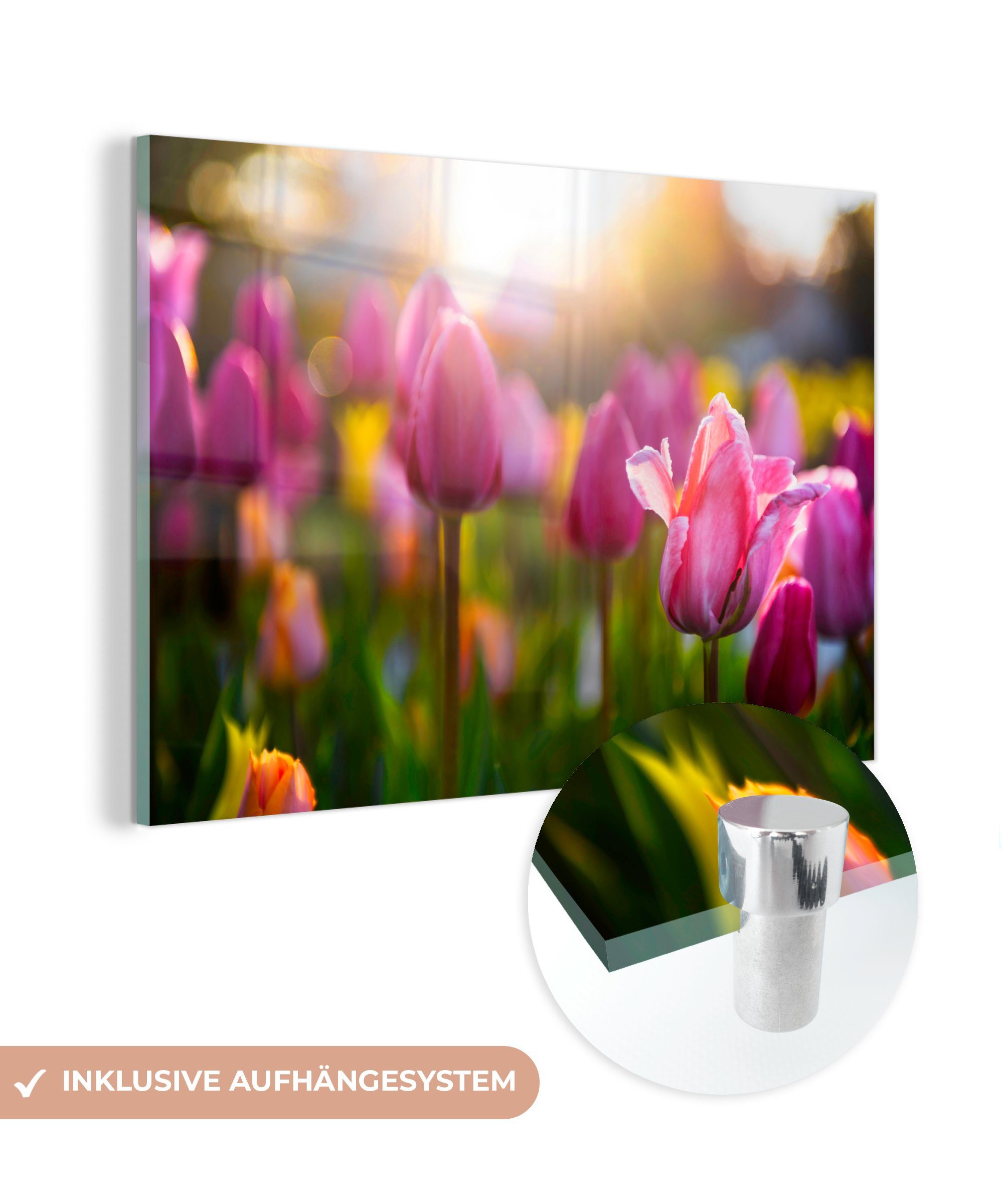 Acrylglasbild - Schlafzimmer Acrylglasbilder - Wohnzimmer MuchoWow & St), Tulpen Farbe (1 Frühling,