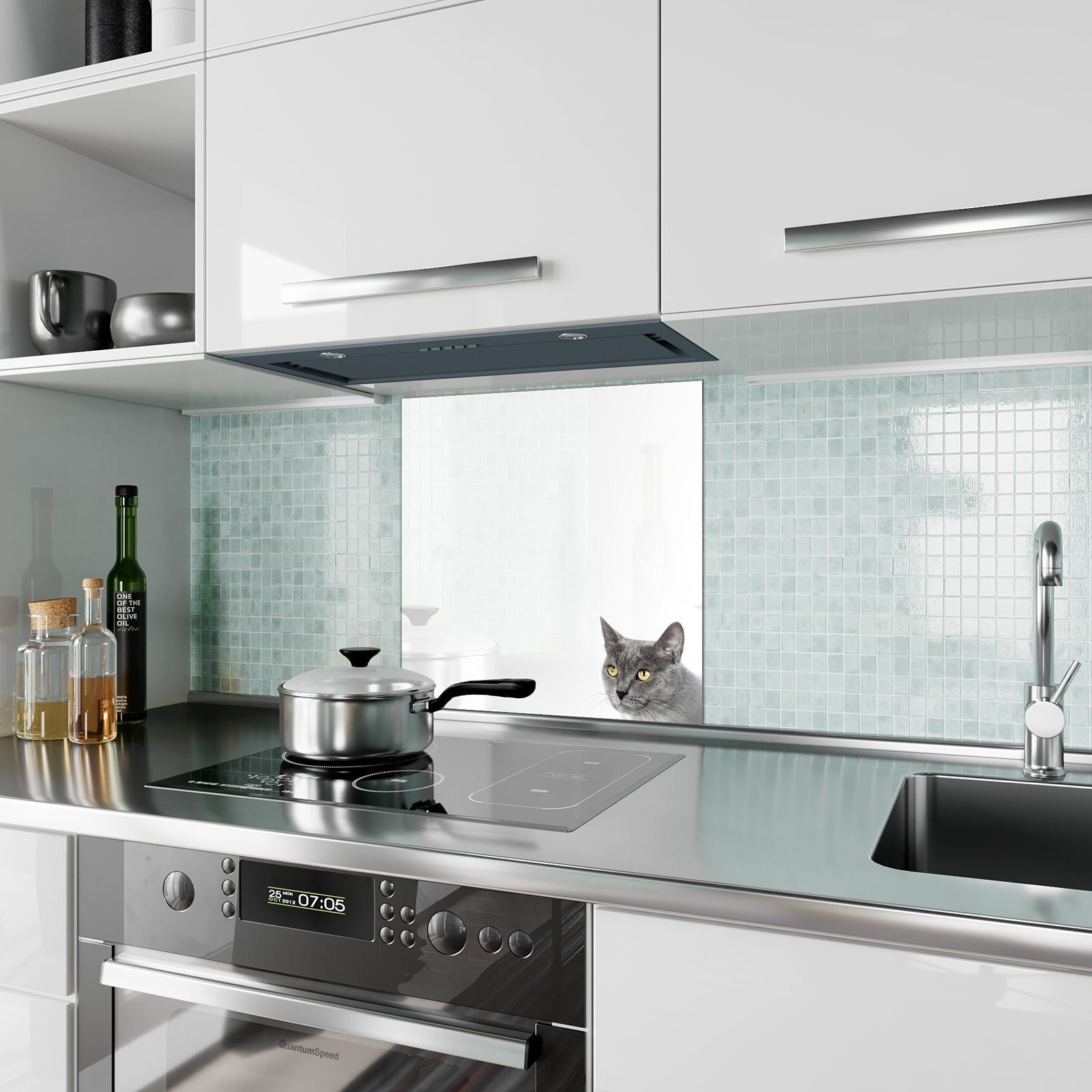 Primedeco Küchenrückwand Küchenrückwand Spritzschutz Glas vor Motiv Graue Katze Wand mit heller