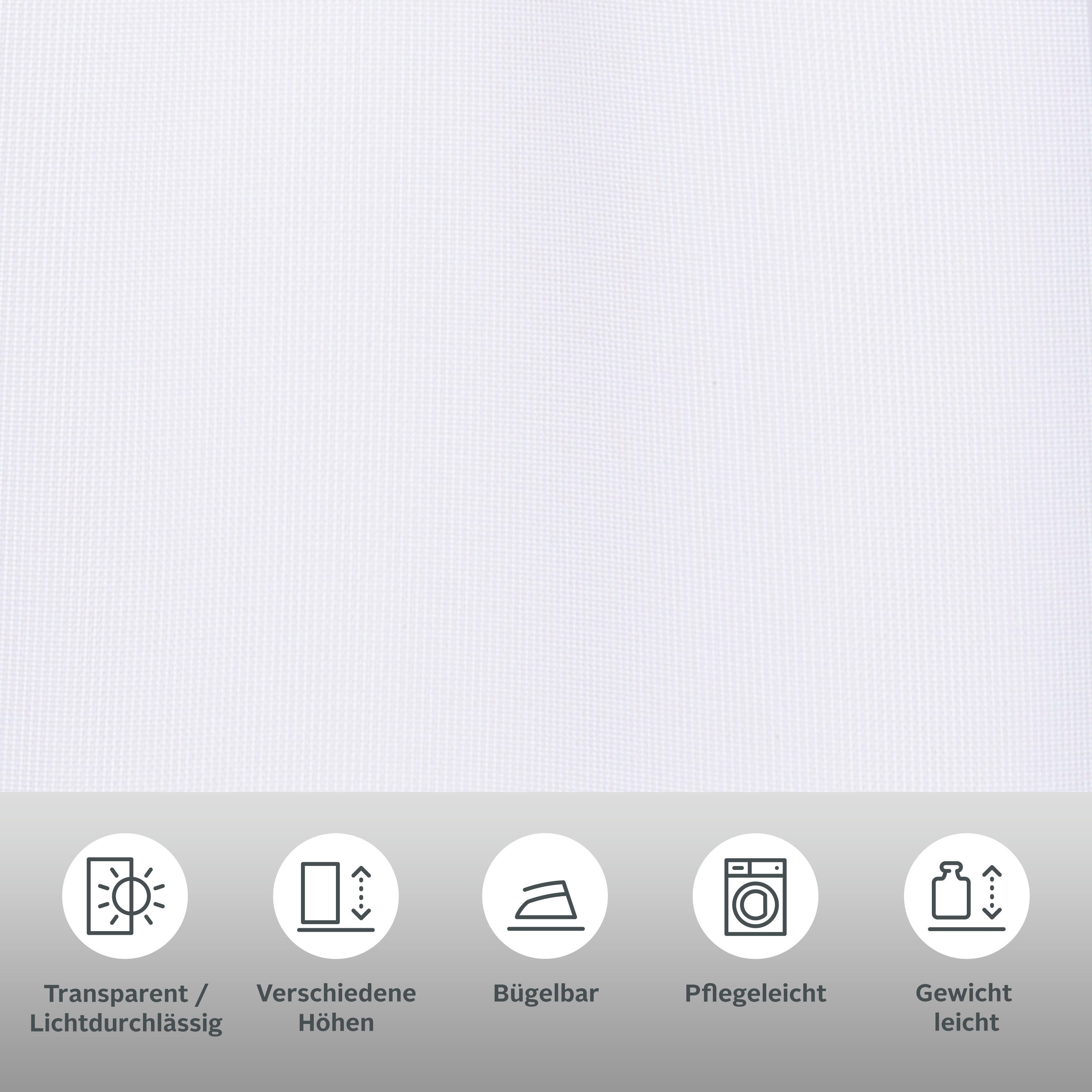 OTTO home Scheibengardine Missy (1 St), Stangendurchzug, transparent, Polyester, mit Spitzenbordüre