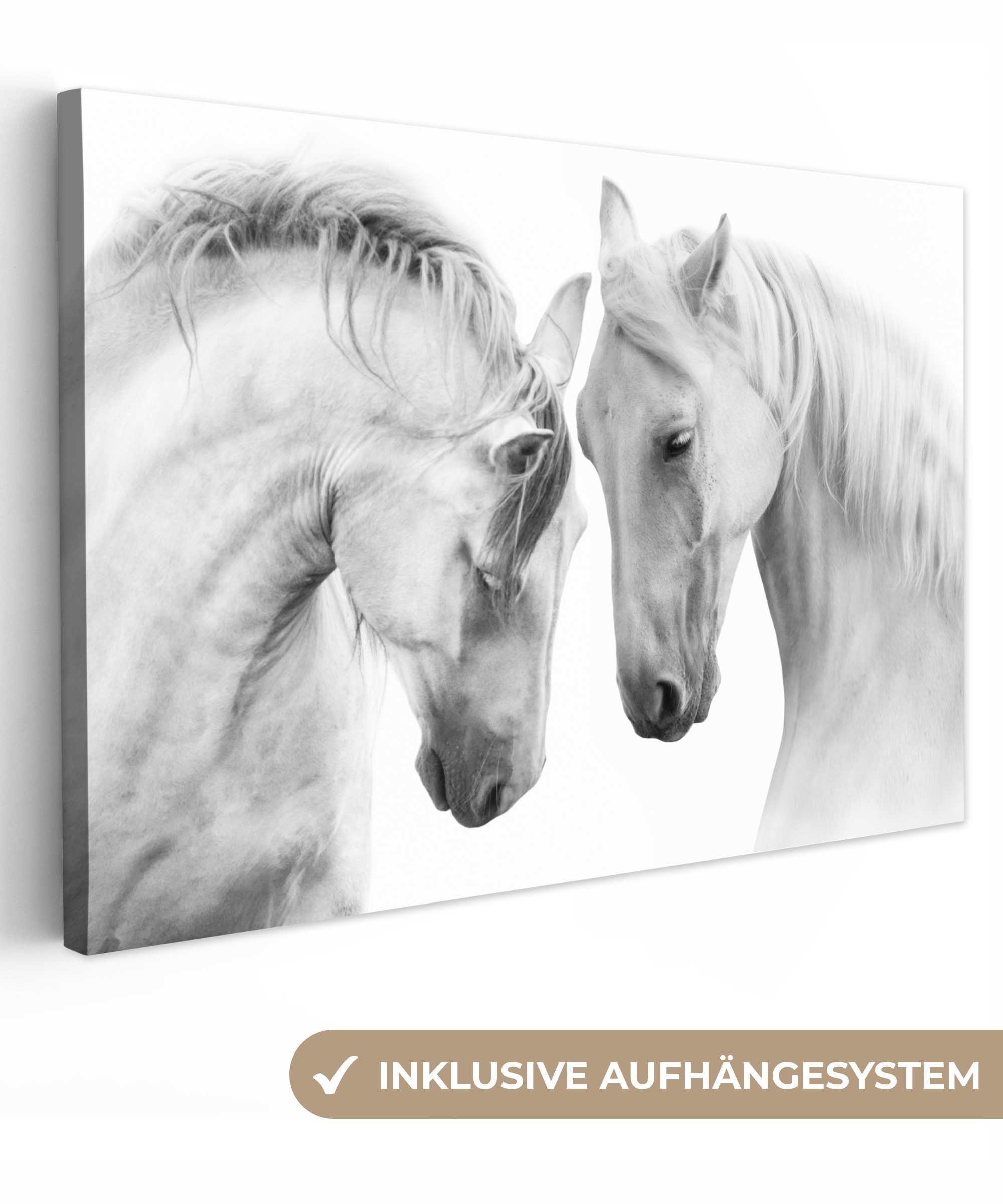 OneMillionCanvasses® Leinwandbild Pferd - Tiere - Porträt - Weiß, Fotodruck (1 St), Leinwand Bilder Klein, Wand Dekoration Aesthetic 30x20 cm