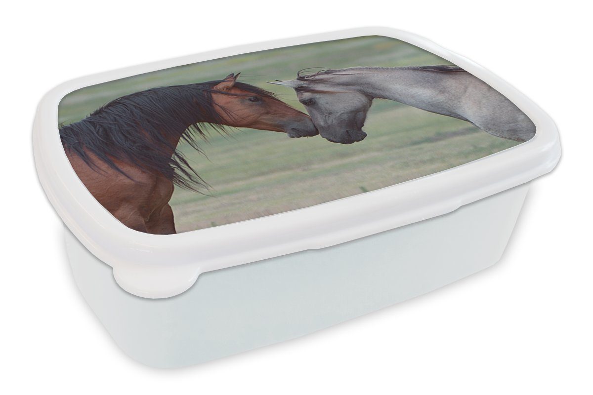 MuchoWow Lunchbox Zwei wilde Mustang-Pferde legen ihre Köpfe aneinander, Kunststoff, (2-tlg), Brotbox für Kinder und Erwachsene, Brotdose, für Jungs und Mädchen weiß | Lunchboxen