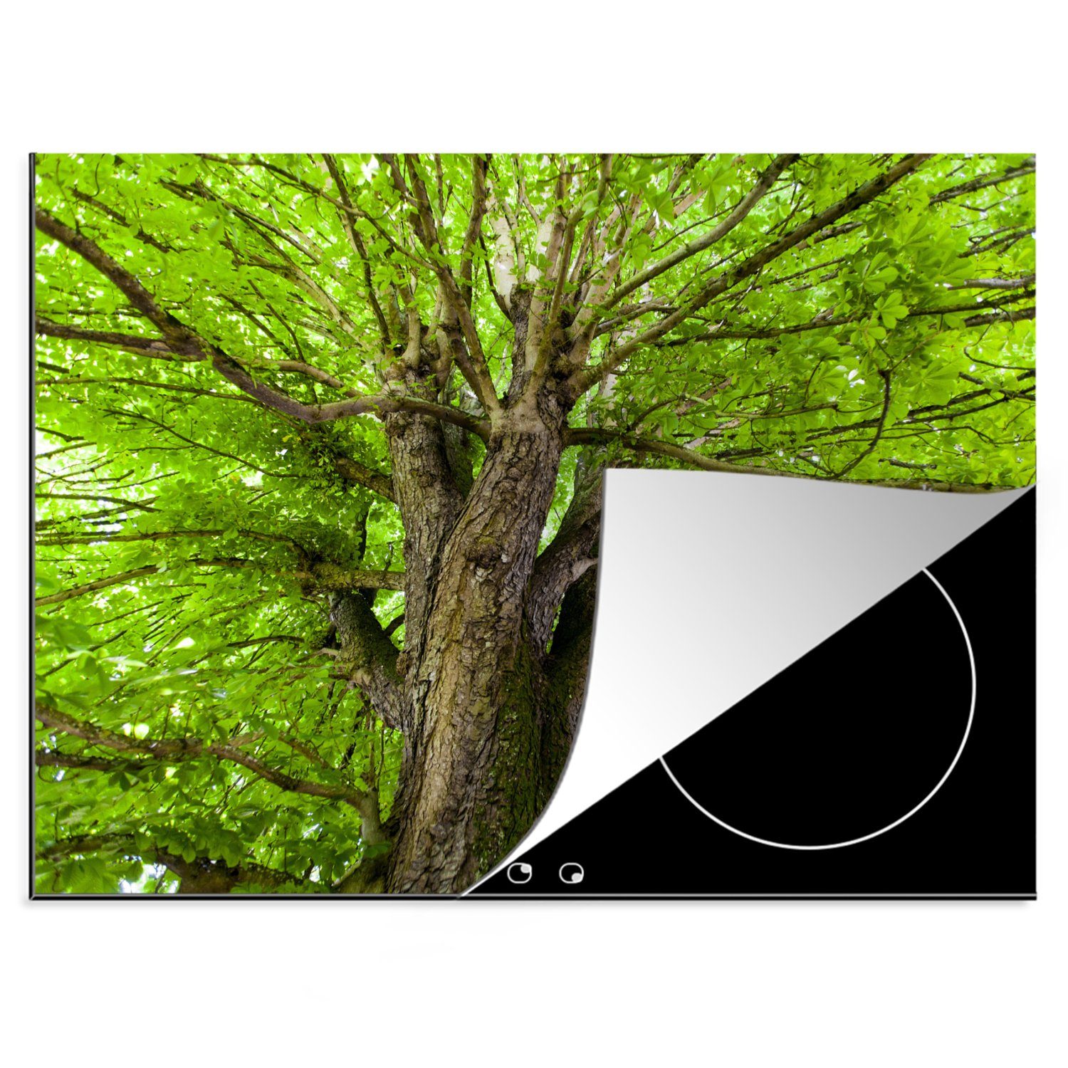 MuchoWow Herdblende-/Abdeckplatte Ein Kastanienbaum im Sommer, Vinyl, (1 tlg), 70x52 cm, Mobile Arbeitsfläche nutzbar, Ceranfeldabdeckung