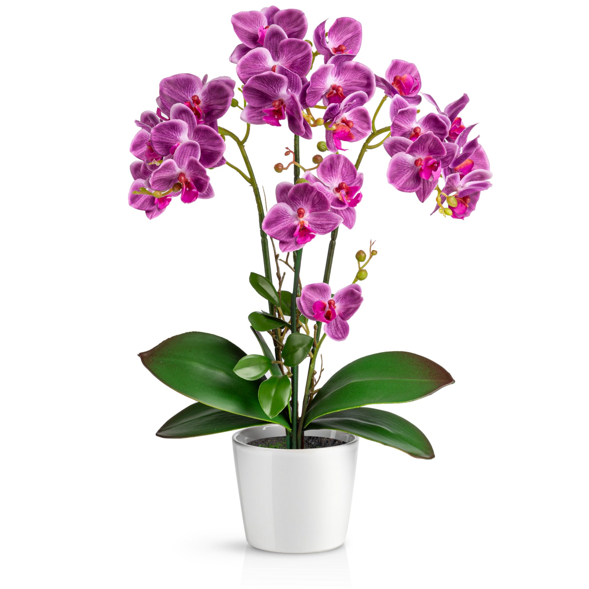 Kunstorchidee PASCH® Orchidee künstlich wie echt (46cm) in Hochglanz-Keramiktopf Orchidee, PASCH, Real Touch