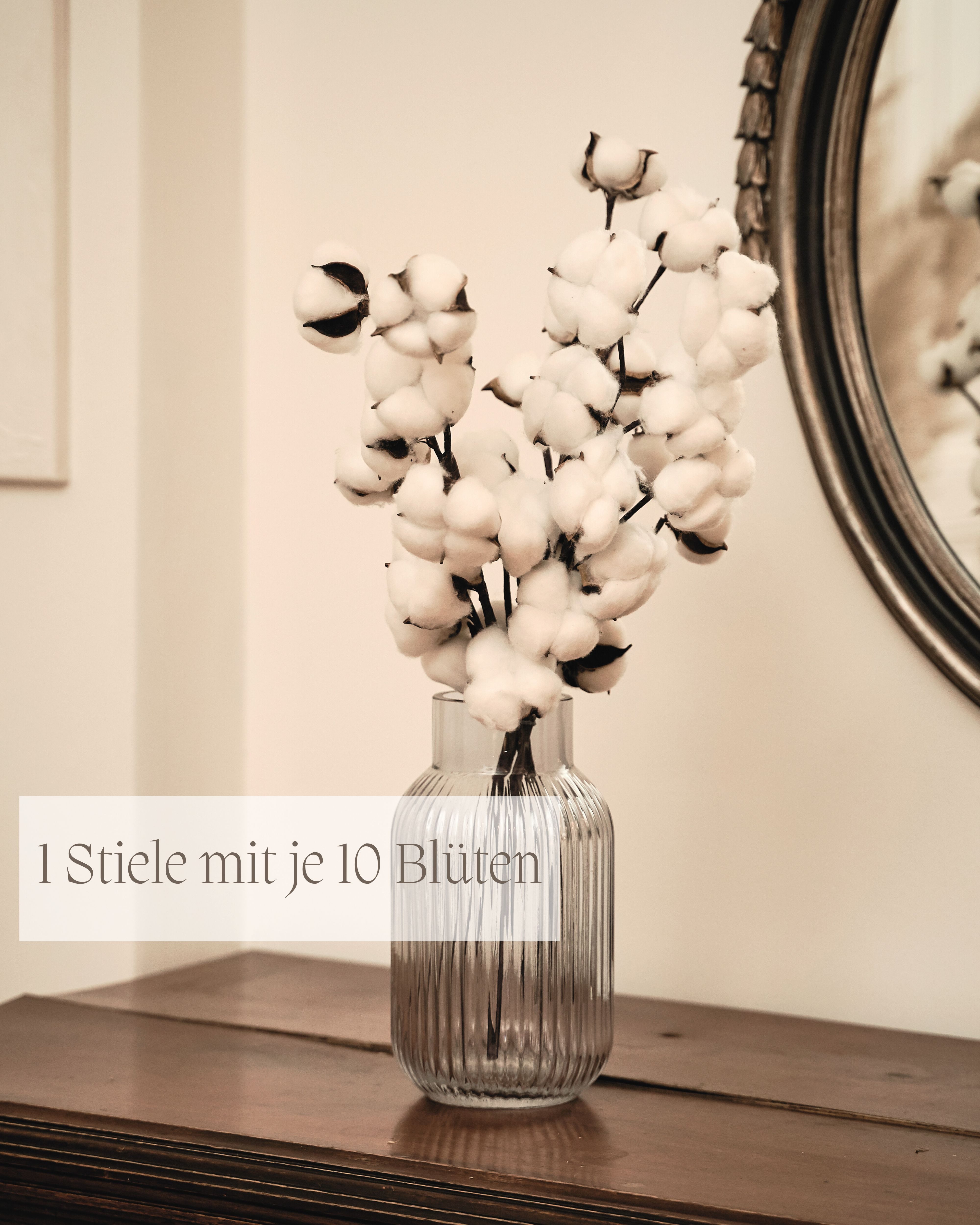 Trockenblume Deko Baumwollzweig – Trockenblume für Vase & Deko, Trockenblumenstrauß Baumwollzweig, Nina-Maria's Deko Gold, Höhe 53 cm, jeder Stiel hat 10 Köpfe