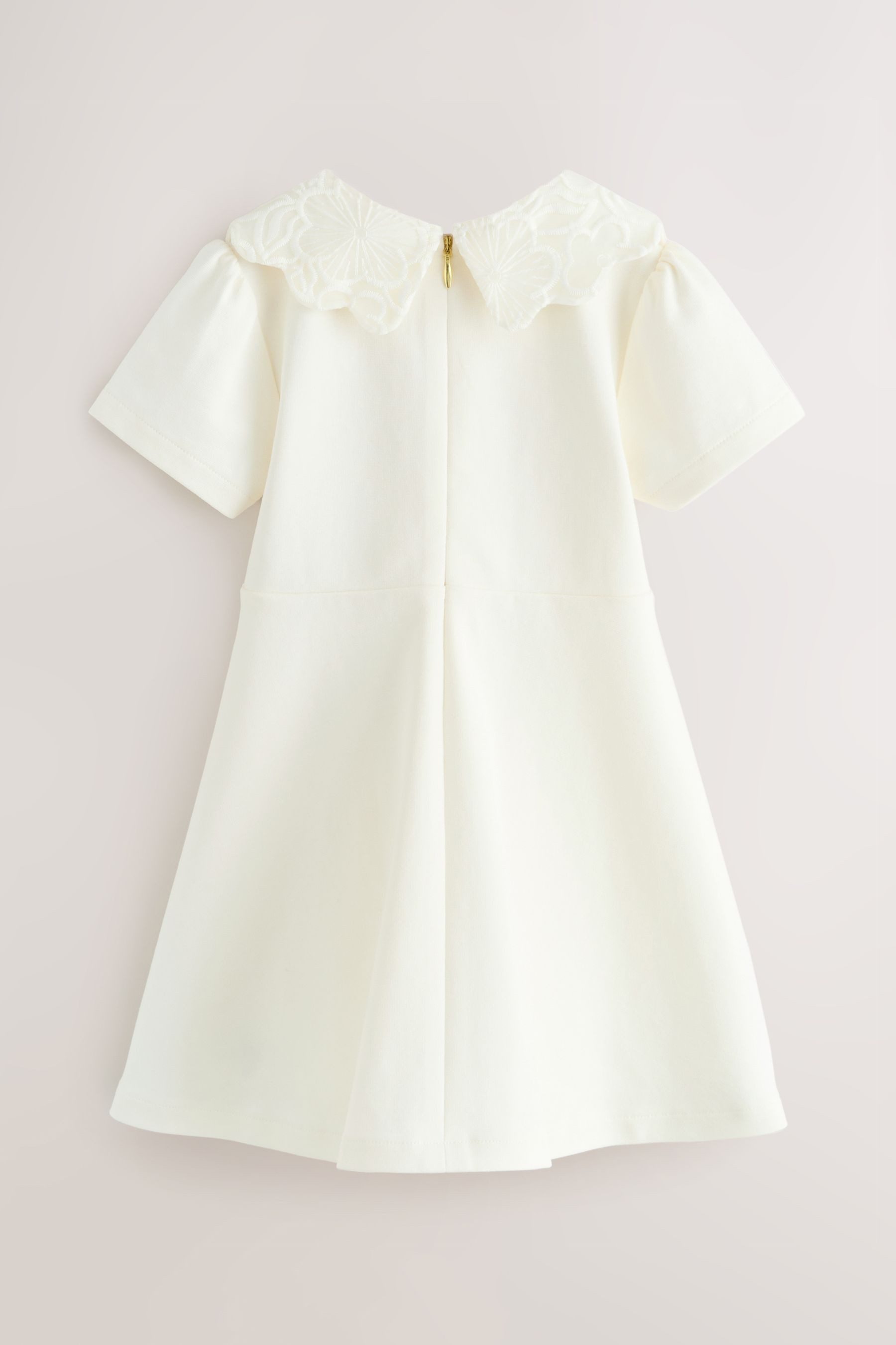 Baker by Ted Baker Spitzenkleid Baker by Ted Baker Ponte-Kleid mit Spitzenkragen (1-tlg)