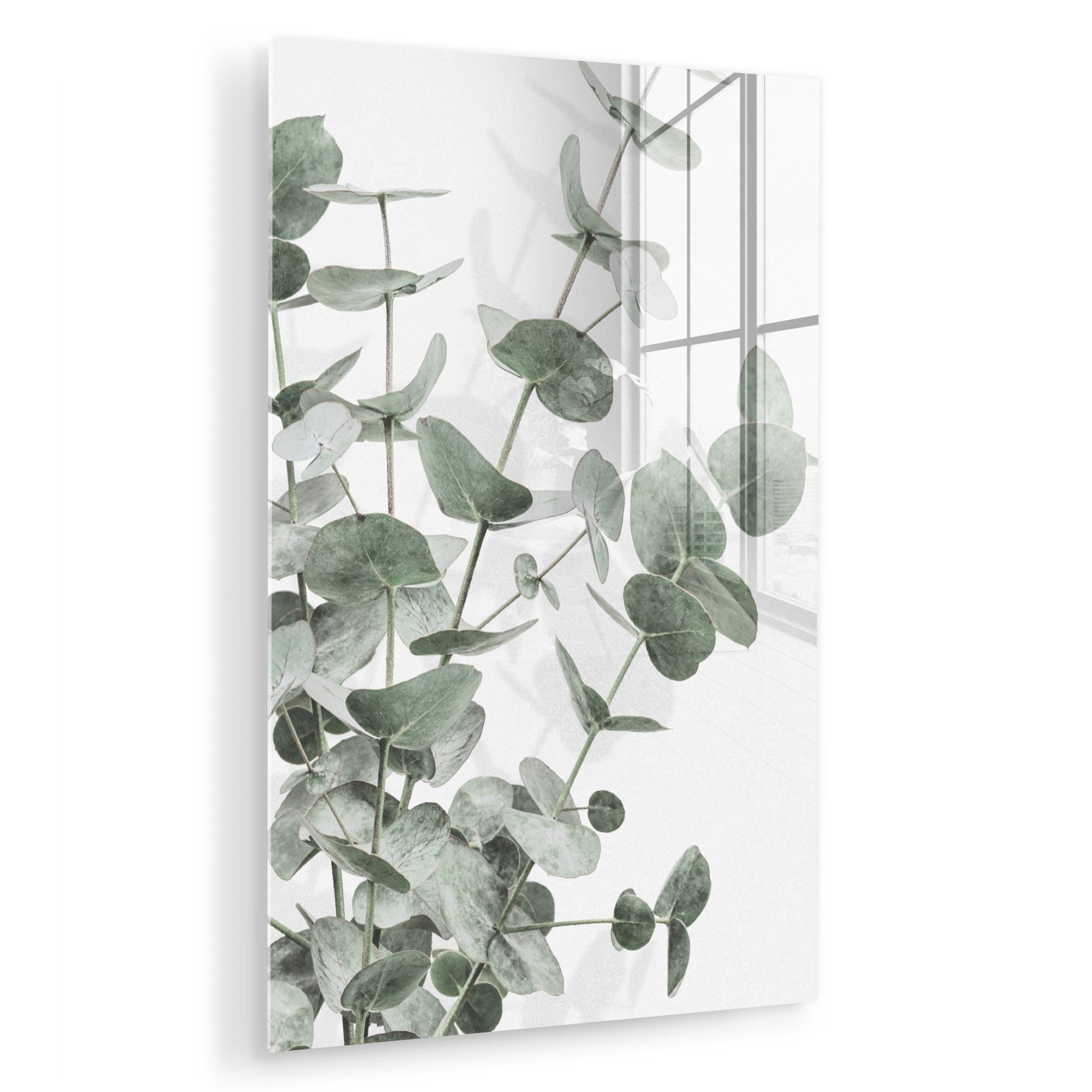 MuchoWow Acrylglasbild Eukalyptus - Blätter - günstig online kaufen