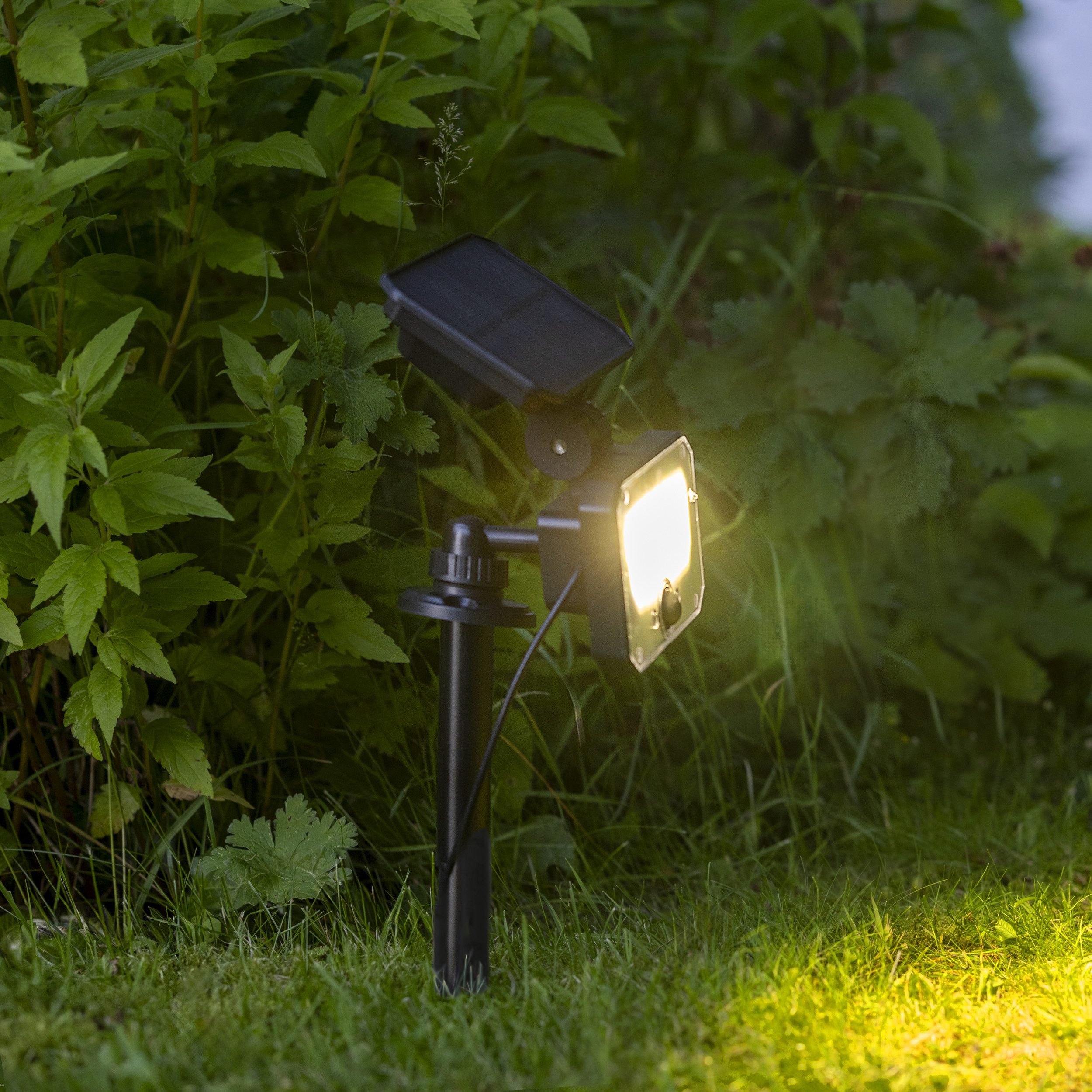 Lightbox Gartenfackel, Bewegungsmelder, LED fest integriert, Neutralweiß, LED Erdspieß Außenlampe mit Fernbedienung Solar und Bewegungsmelder