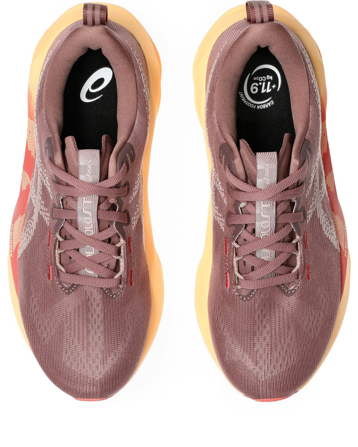 Asics NOVABLAST 5 Laufschuh günstig online kaufen