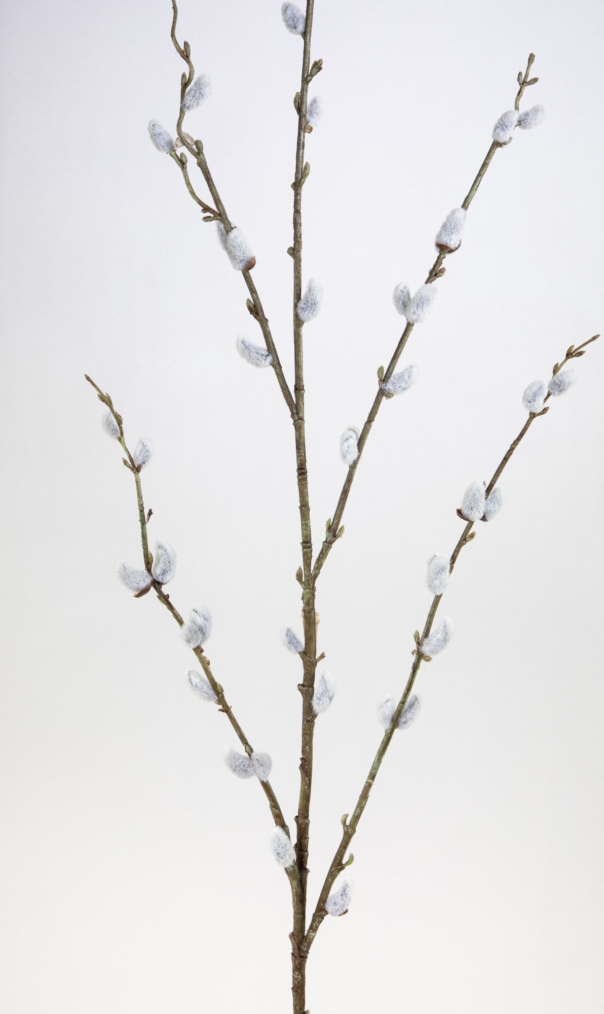 Kunstzweig Weidenkätzchenzweig 115cm FI künstliche Palmkätzchen Salix Weide günstig online kaufen