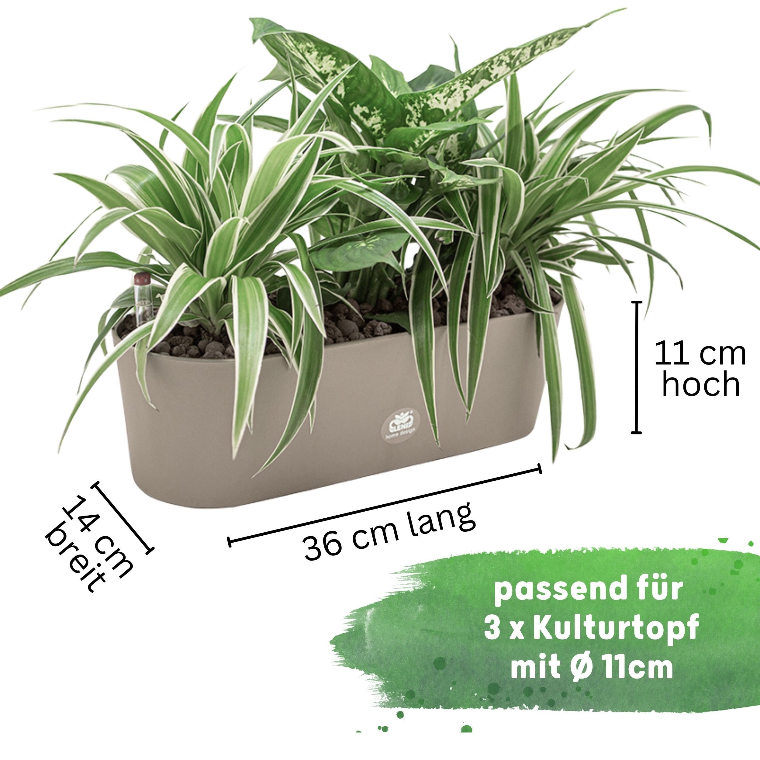 LENI Jardiniere Blumentopf länglich Pflanzkasten 36 günstig online kaufen