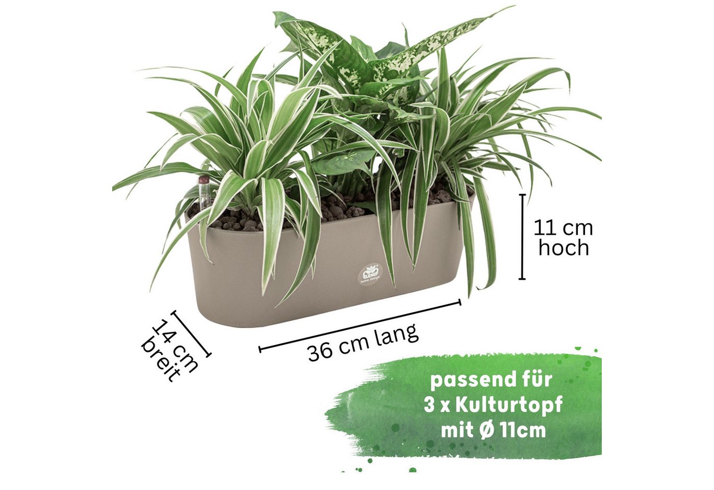 Thumbnail - LENI Jardiniere Blumentopf länglich Pflanzkasten 36 cm lang Kräuter & Zimmerpflanzen (Komplettes Starter Set Selbstbewäs...