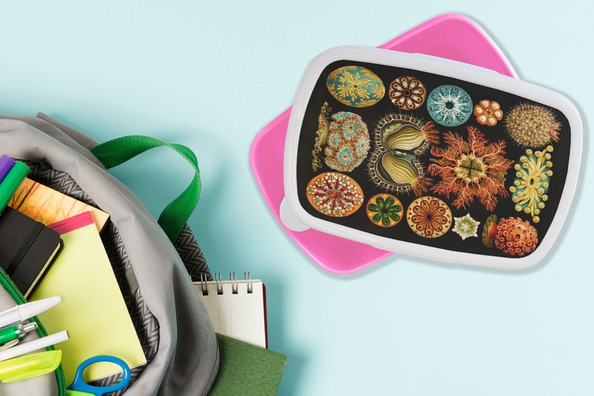 Kunst, MuchoWow Brotbox Meer Mädchen, Kunststoff Natur Snackbox, für Ernst - Meerestier Haeckel - Kinder, Kunststoff, Lunchbox rosa - - Vintage Brotdose (2-tlg), Erwachsene, -