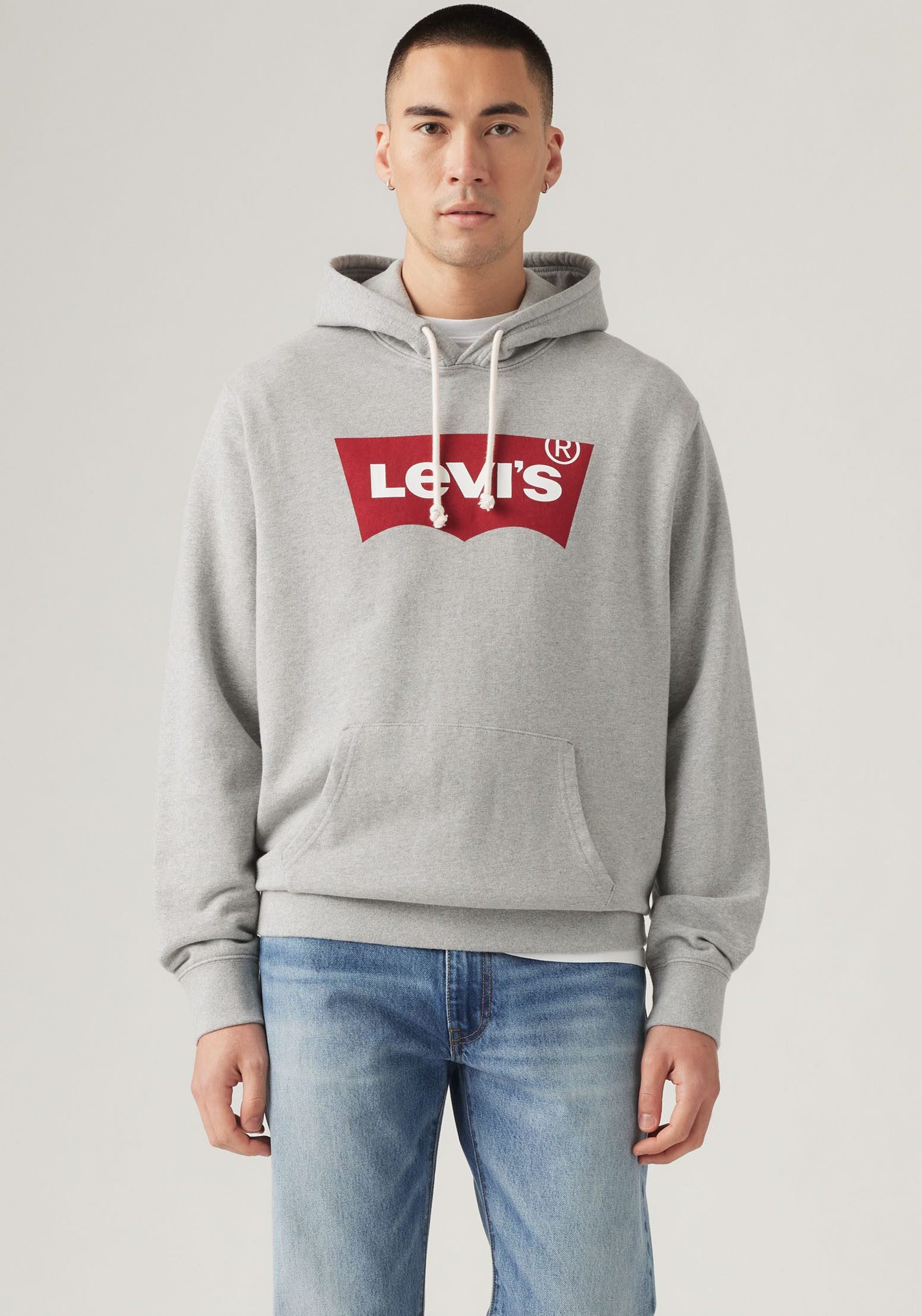 Levi's® Hoodie STANDARD GRAPHIC HOOD mit Kängurutasche