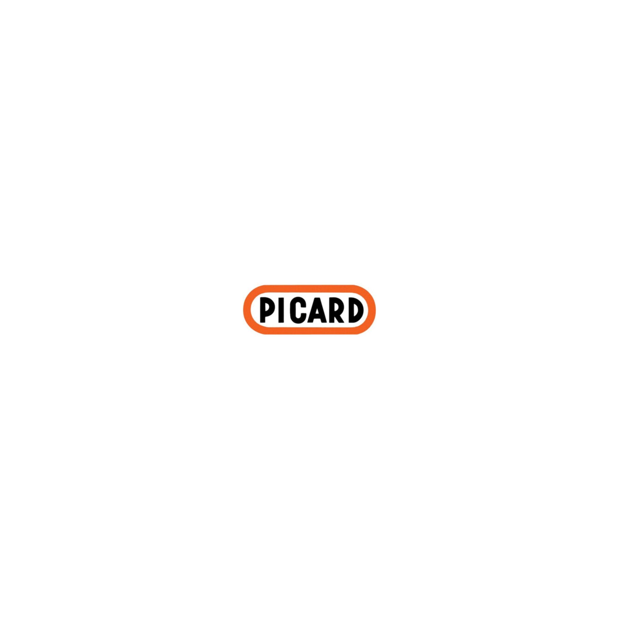 Picard Latthammer Picard Latthammer 600 g blank
