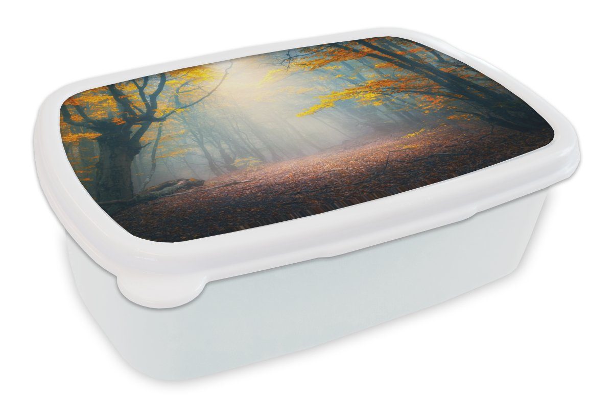 MuchoWow Lunchbox Wald - Nebel - Herbst, Kunststoff, (2-tlg), Brotbox für Kinder und Erwachsene, Brotdose, für Jungs und Mädchen weiß