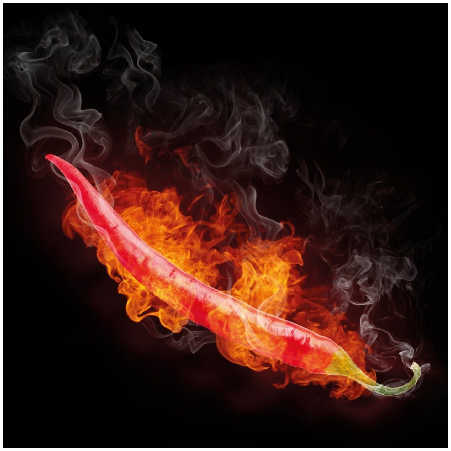 Wallario Memoboard Heiße, brennende Chili-Schote vor schwarzem Hintergrund