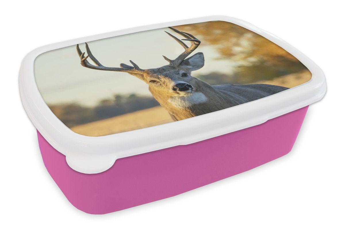 Kinder, Lunchbox Kunststoff Erwachsene, Brotbox MuchoWow (2-tlg), - Natur - - Herbst Kunststoff, Gras Geweih Hirsche Brotdose - - Mädchen, rosa Snackbox, Tiere, für