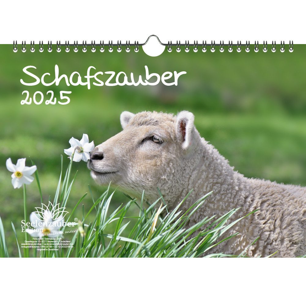 Seelenzauber Wandkalender Schafszauber DIN A4 Kalender für 2025 Schafe