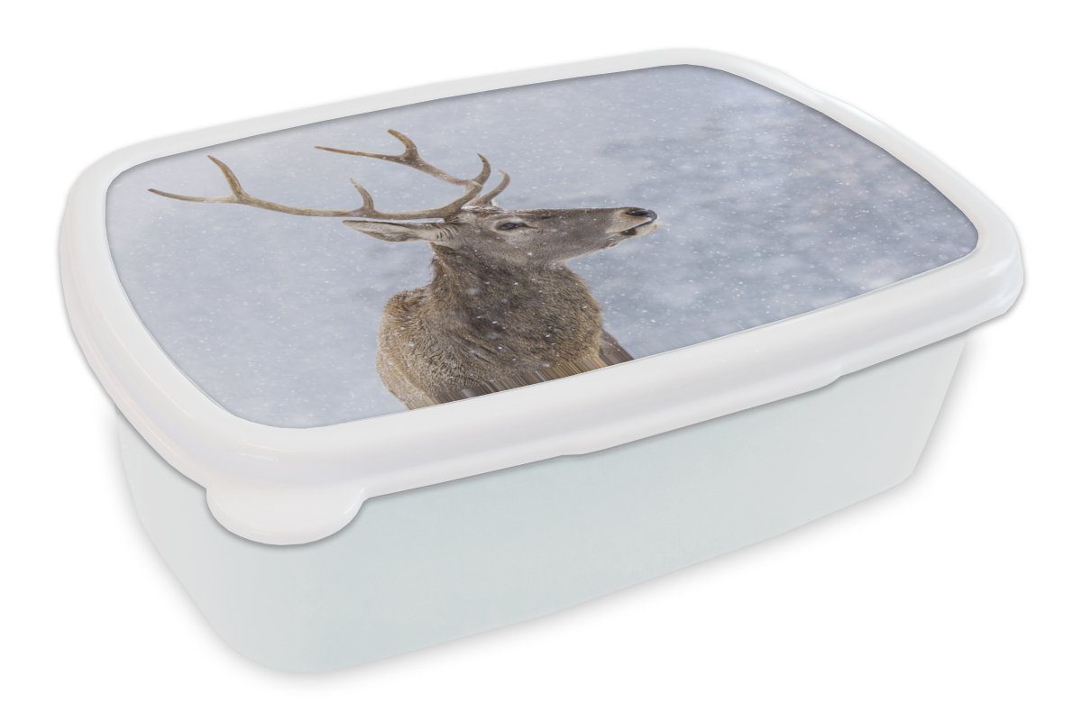 Kinder Lunchbox (2-tlg), für für weiß Brotbox Brotdose, Jungs - - Kunststoff, Mädchen und Winter, Hirsche Schnee Erwachsene, MuchoWow und