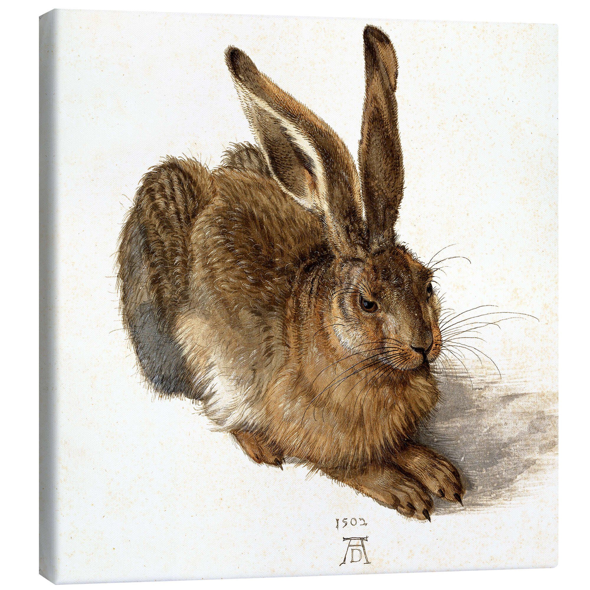 Leinwandbild Albrecht Dürer