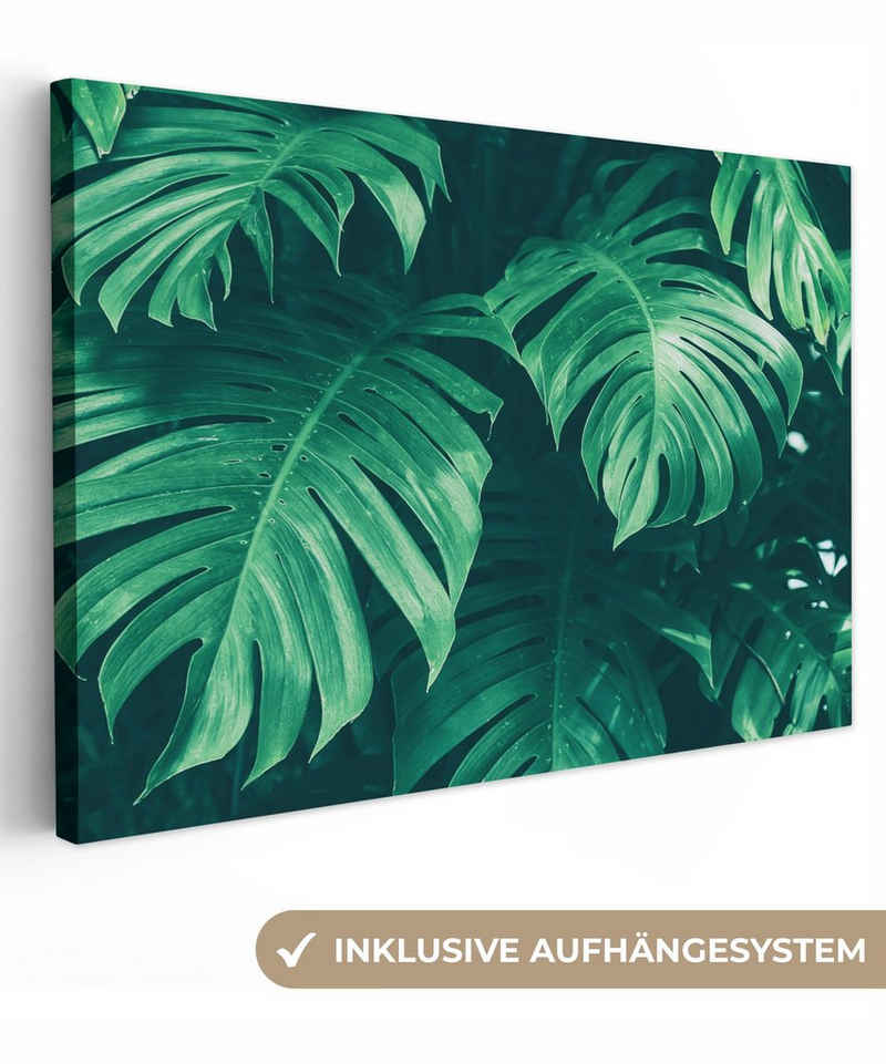 OneMillionCanvasses® Leinwandbild Monstera - Blätter - Pflanzen - Dschungel - Natur, (1 St), Wandbild Leinwandbilder, Aufhängefertig, Wanddeko, 30x20 cm