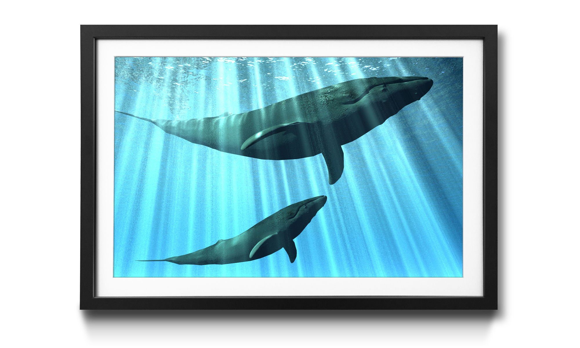 mit erhältlich Rahmen Wandbild, Bild WandbilderXXL 4 Whales, Größen Wale, in