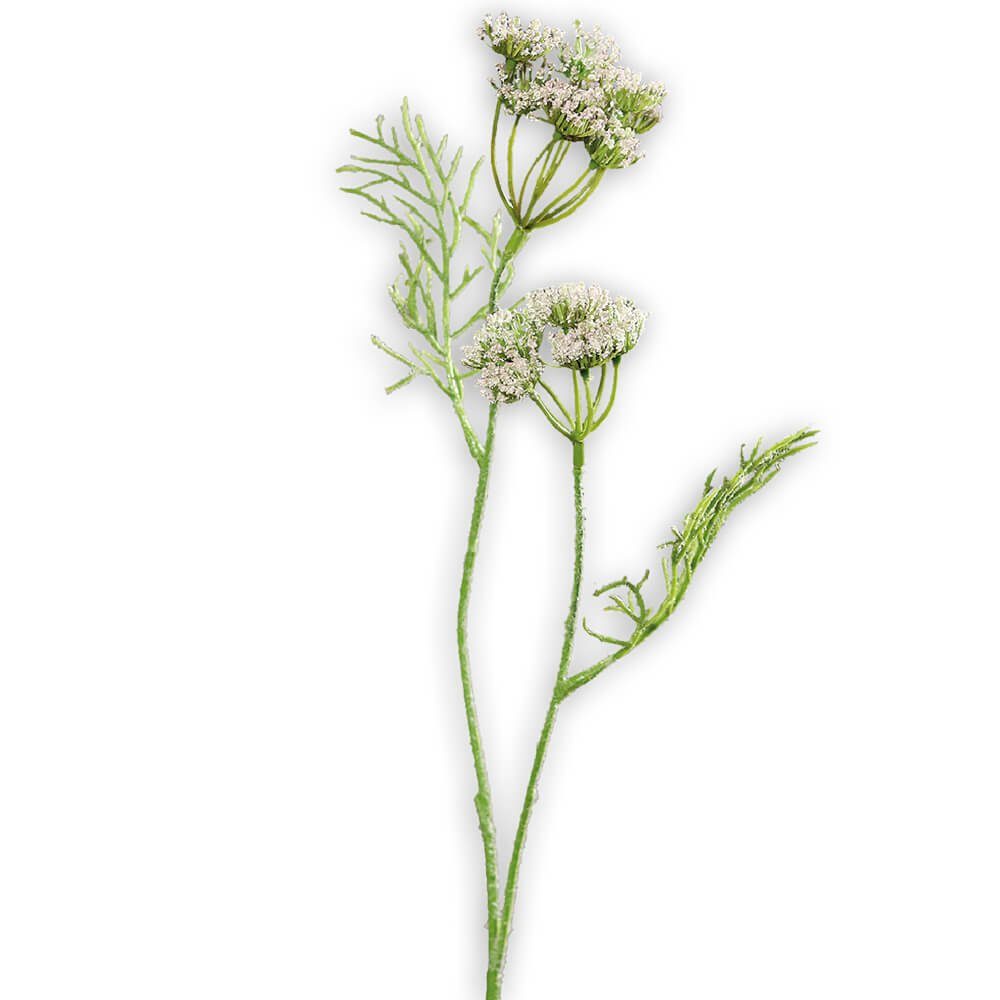 Kunstblume Dillkraut künstliche Pflanze 1 Stk Ø 6x56 cm cremefarben Dillkraut, matches21 HOME & HOBBY, Höhe 56 cm, Indoor