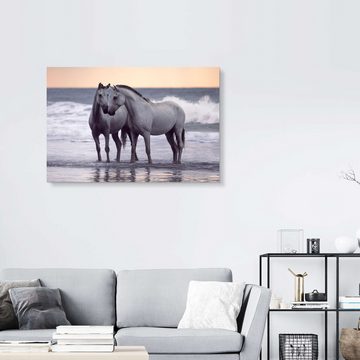 Posterlounge Forex-Bild Wiebke Haas, Weiße Pferde am Strand, Badezimmer Maritim Fotografie