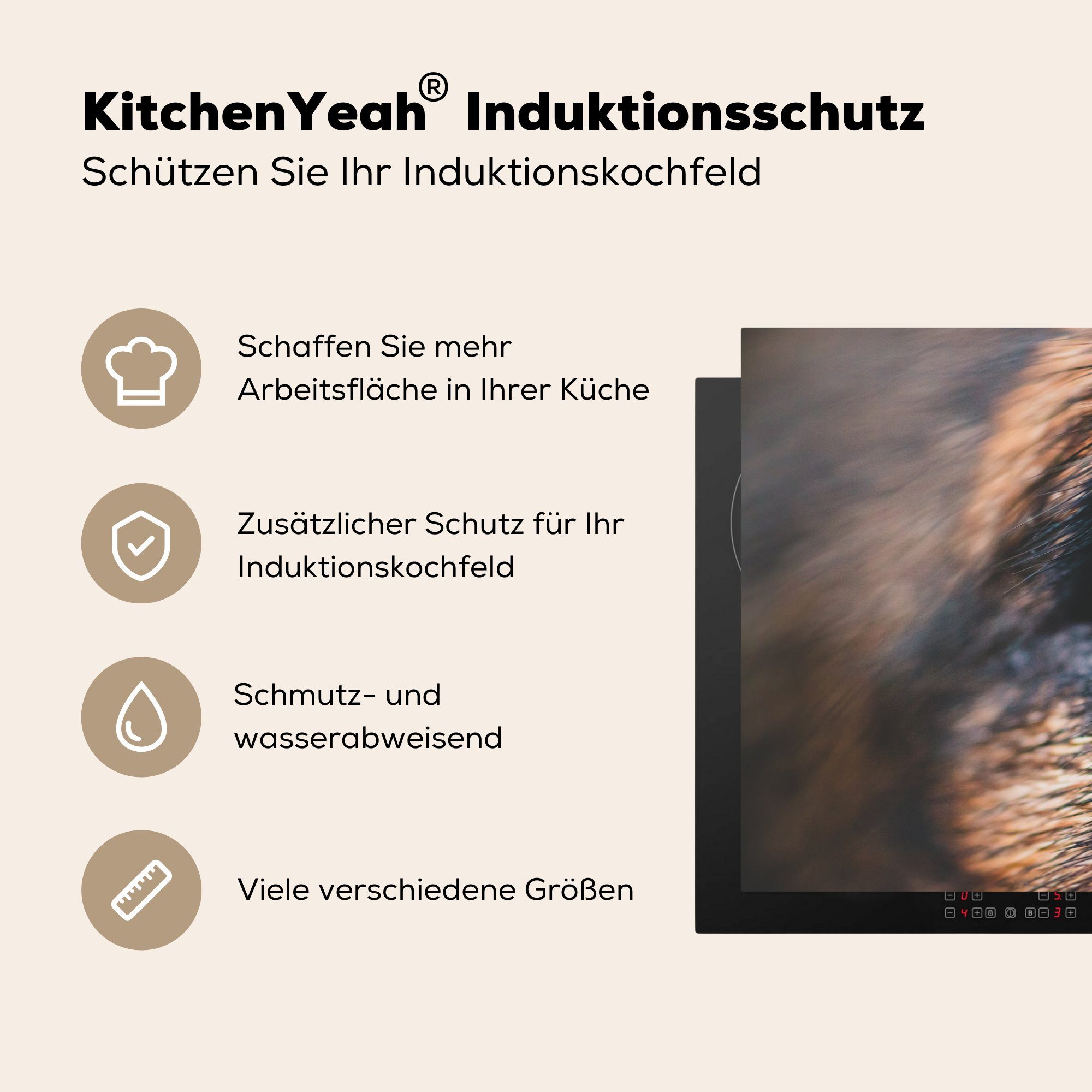 küche, tlg), - cm, Vinyl, die Auge Herdblende-/Abdeckplatte 81x52 Braun, MuchoWow für (1 Induktionskochfeld - Ceranfeldabdeckung Schutz Hund