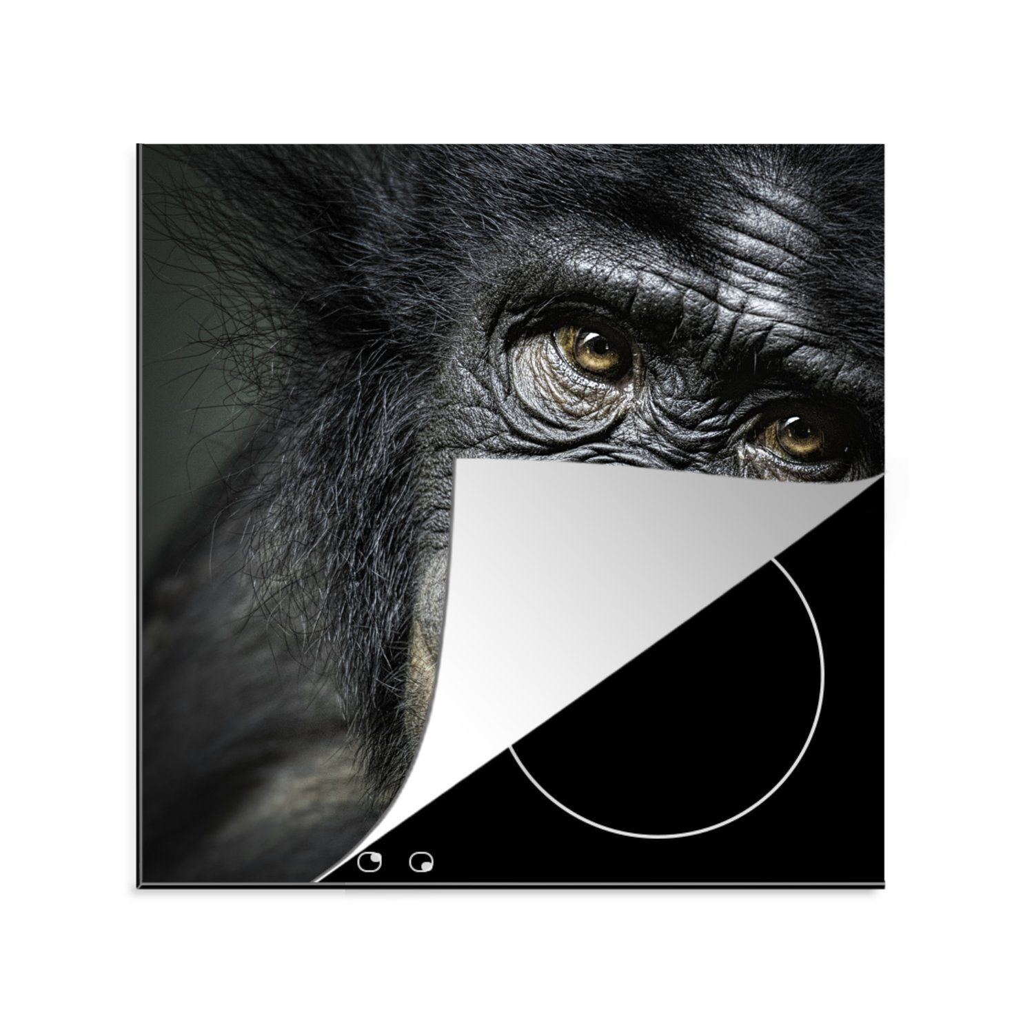 MuchoWow Herdblende-/Abdeckplatte Schimpanse - Porträt - Affe, Vinyl, (1 tlg), 78x78 cm, Ceranfeldabdeckung, Arbeitsplatte für küche