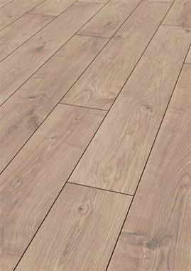 JANGAL Laminat State Park Line Pro Laminatboden - Dunkle Eleganz trifft auf Natur, 12mm stark, 1375x188x12 mm, für 6,465m2, Easy-Klicksystem