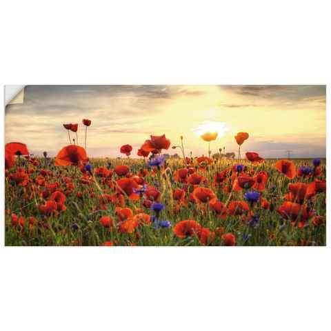 Artland Wandbild Mohnblumen, Blumen (1 St), als Alubild, Outdoorbild, Leinwandbild, Poster, Wandaufkleber