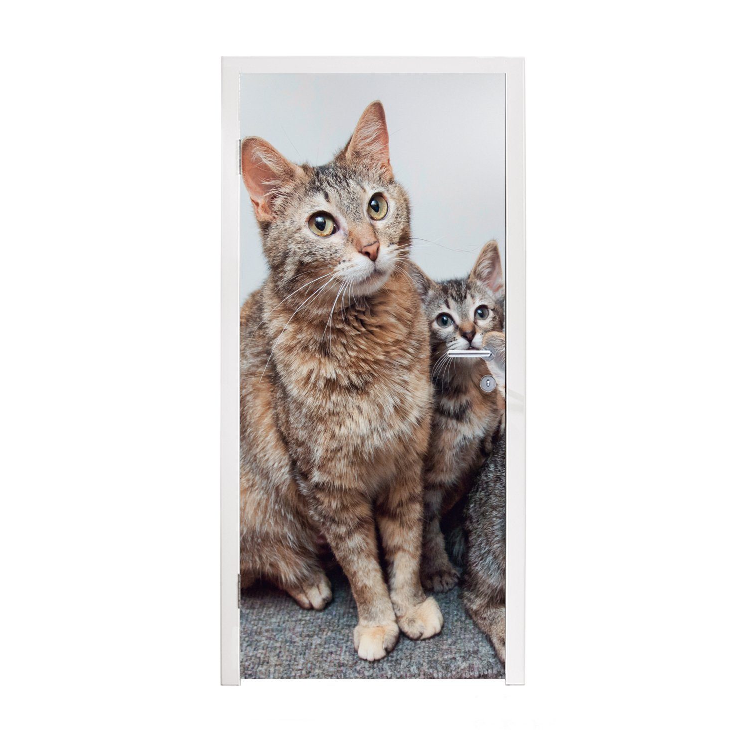 MuchoWow Türtapete Katze - Kätzchen - Fell, Matt, bedruckt, (1 St), Fototapete für Tür, Türaufkleber, 75x205 cm
