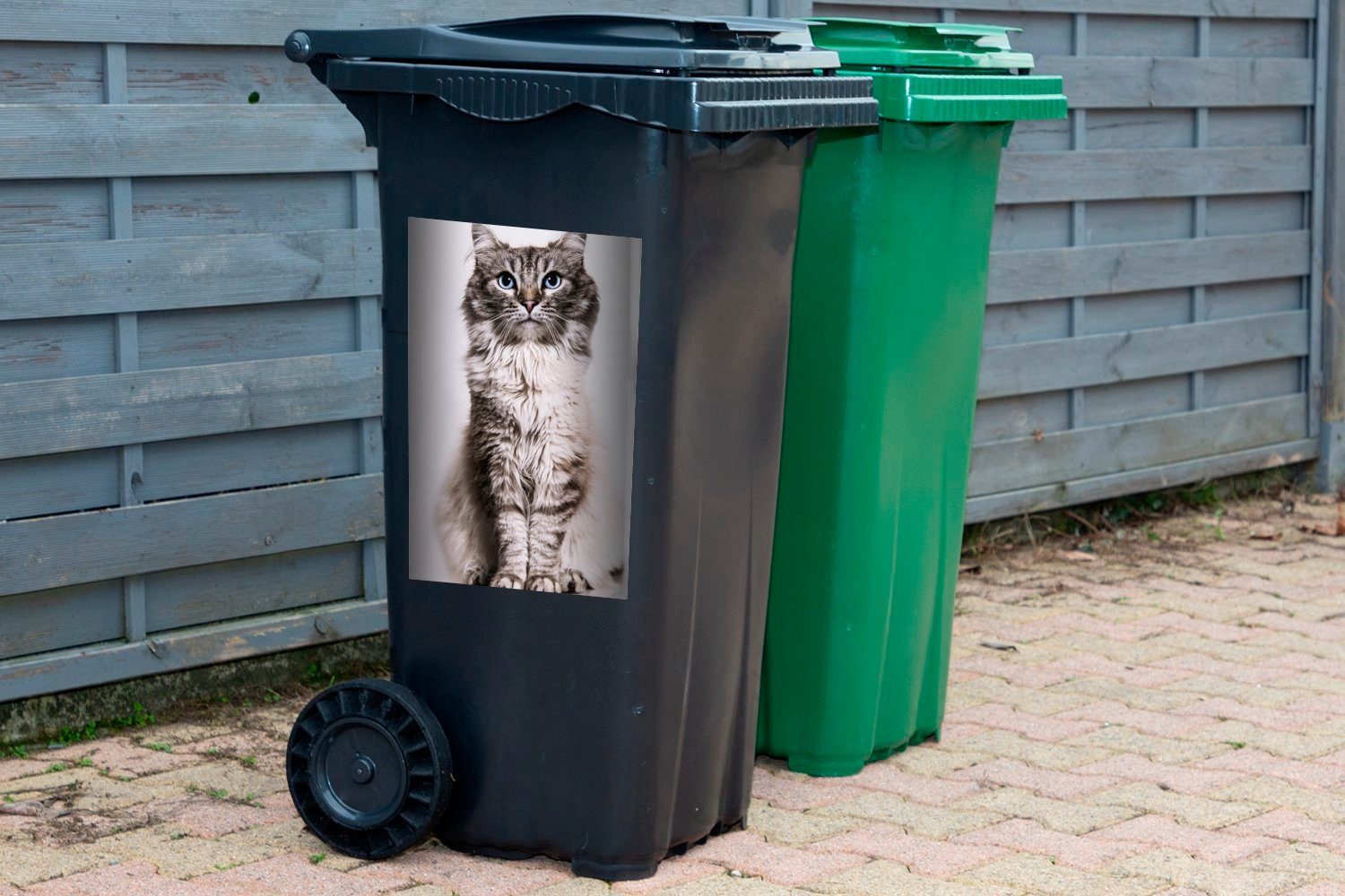 Wandsticker weißem St), Hintergrund mit Sticker, Augen blauen Mülltonne, Container, Abfalbehälter auf (1 Katze Mülleimer-aufkleber, MuchoWow