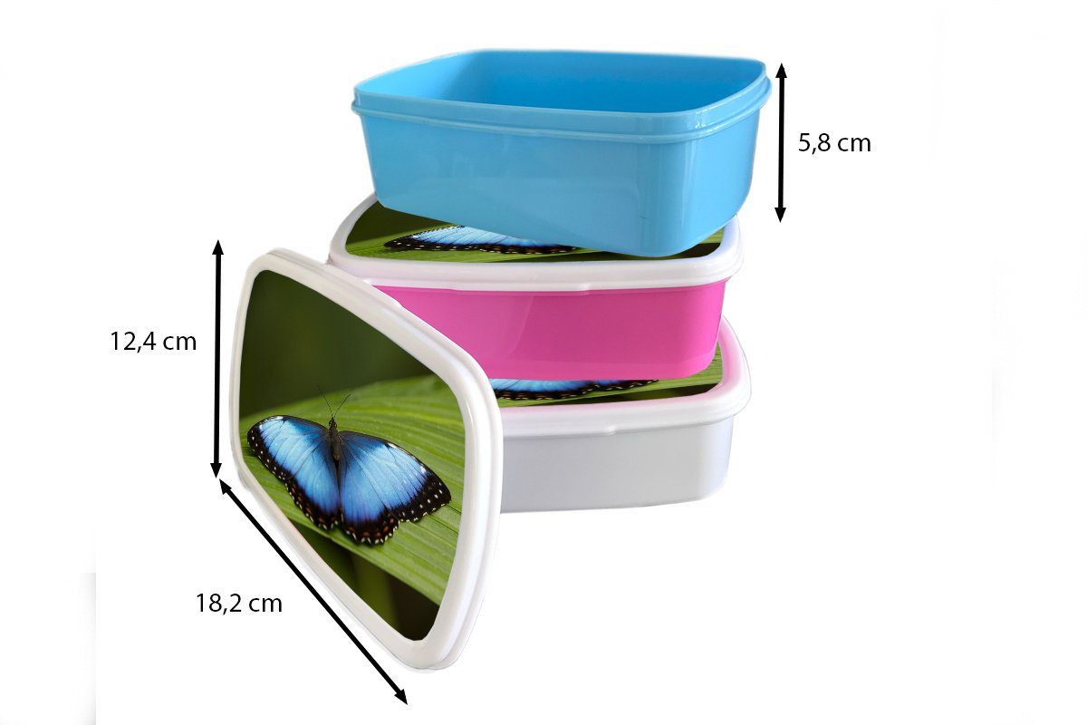 MuchoWow Lunchbox Morpho (2-tlg), auf Brotdose Schmetterling Brotbox rosa für Kunststoff, Blatt, Kinder, Kunststoff Mädchen, Erwachsene, Snackbox