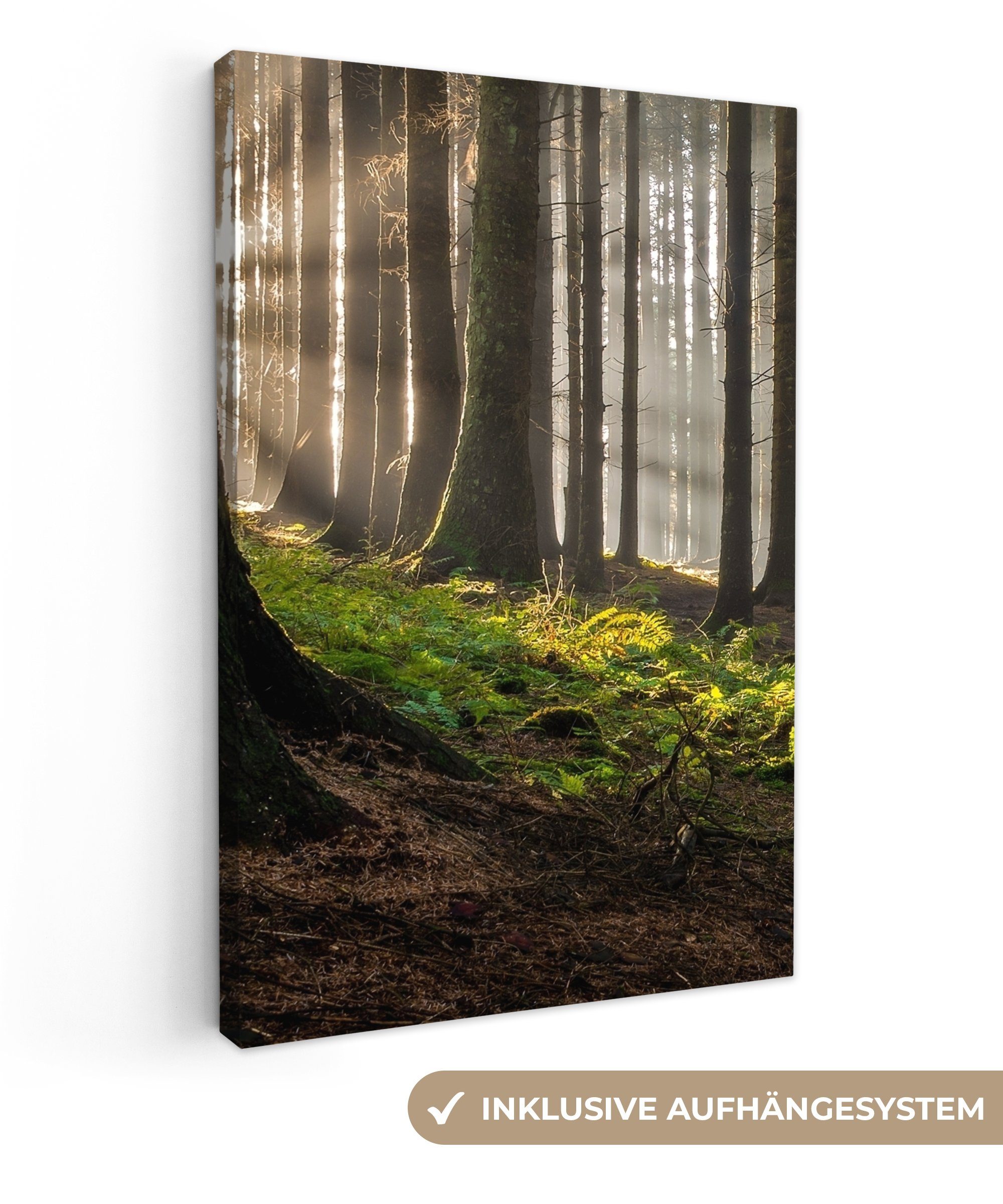 OneMillionCanvasses® Leinwandbild Sonne - Äste - günstig online kaufen