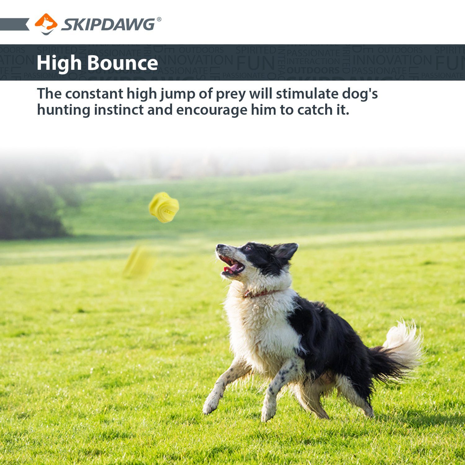 Hunde-Ball Tierball Skipdawg Agility Sprung- und Ball, Rollwege unerwartete