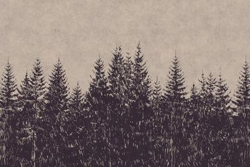 A.S. Création Leinwandbild black forest, Wald (1 St), Wald Bild Keilrahmen