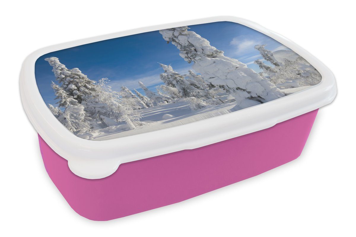 MuchoWow Lunchbox Ein blauer Himmel über der Winterlandschaft in Lappland, Kunststoff, (2-tlg), Brotbox für Erwachsene, Brotdose Kinder, Snackbox, Mädchen, Kunststoff rosa