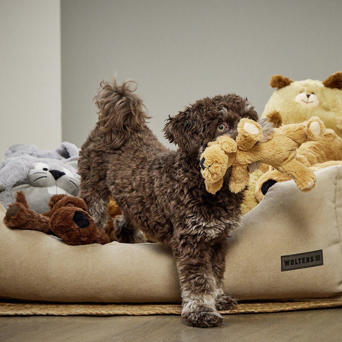 Wolters Tierkuscheltier Plüschhund braun