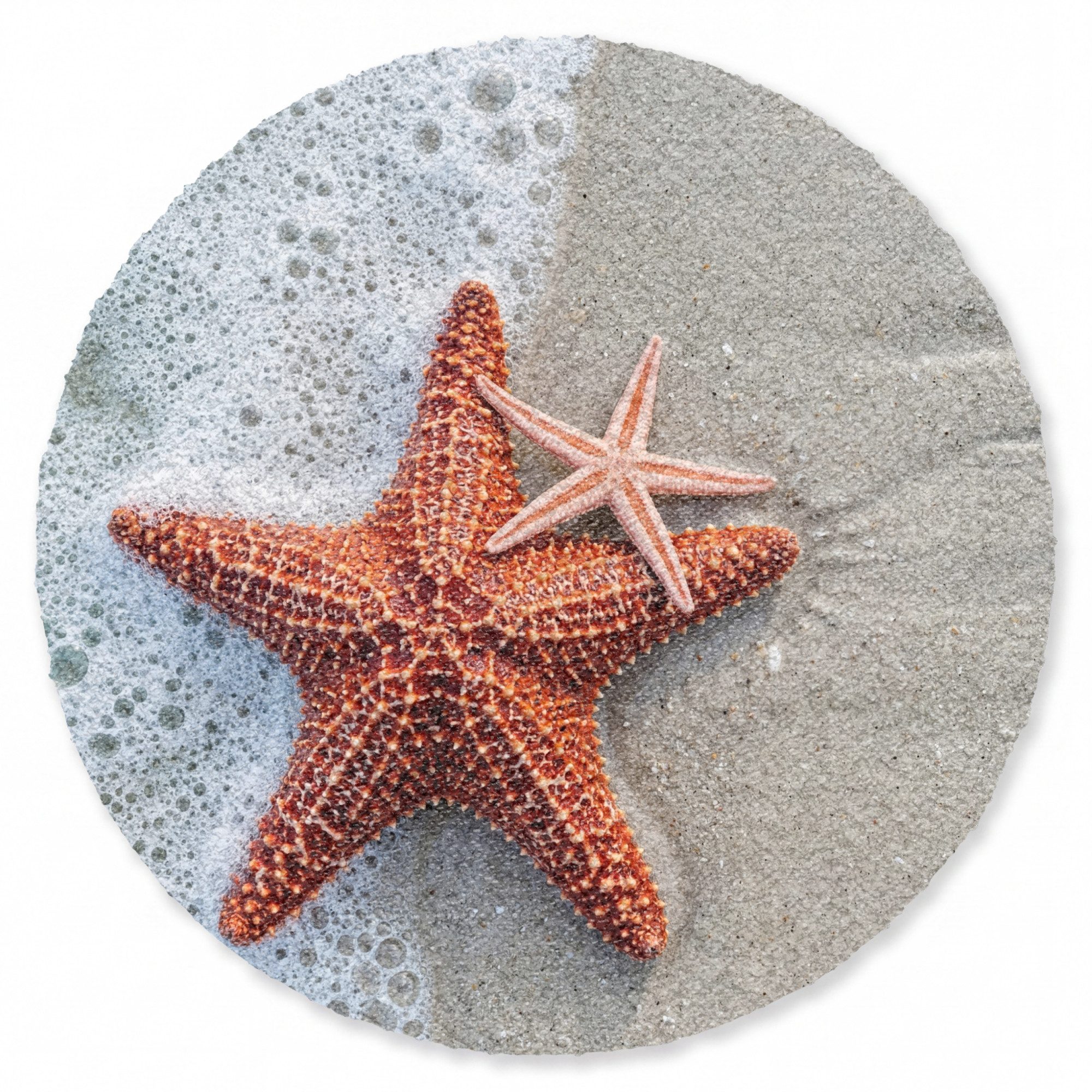 OnlyWow Teppich Rund Seestern - Strand - Meer, Rechteckig, Wohnzimmer, Schlafzimmer, Kurzflor 90x90 cm