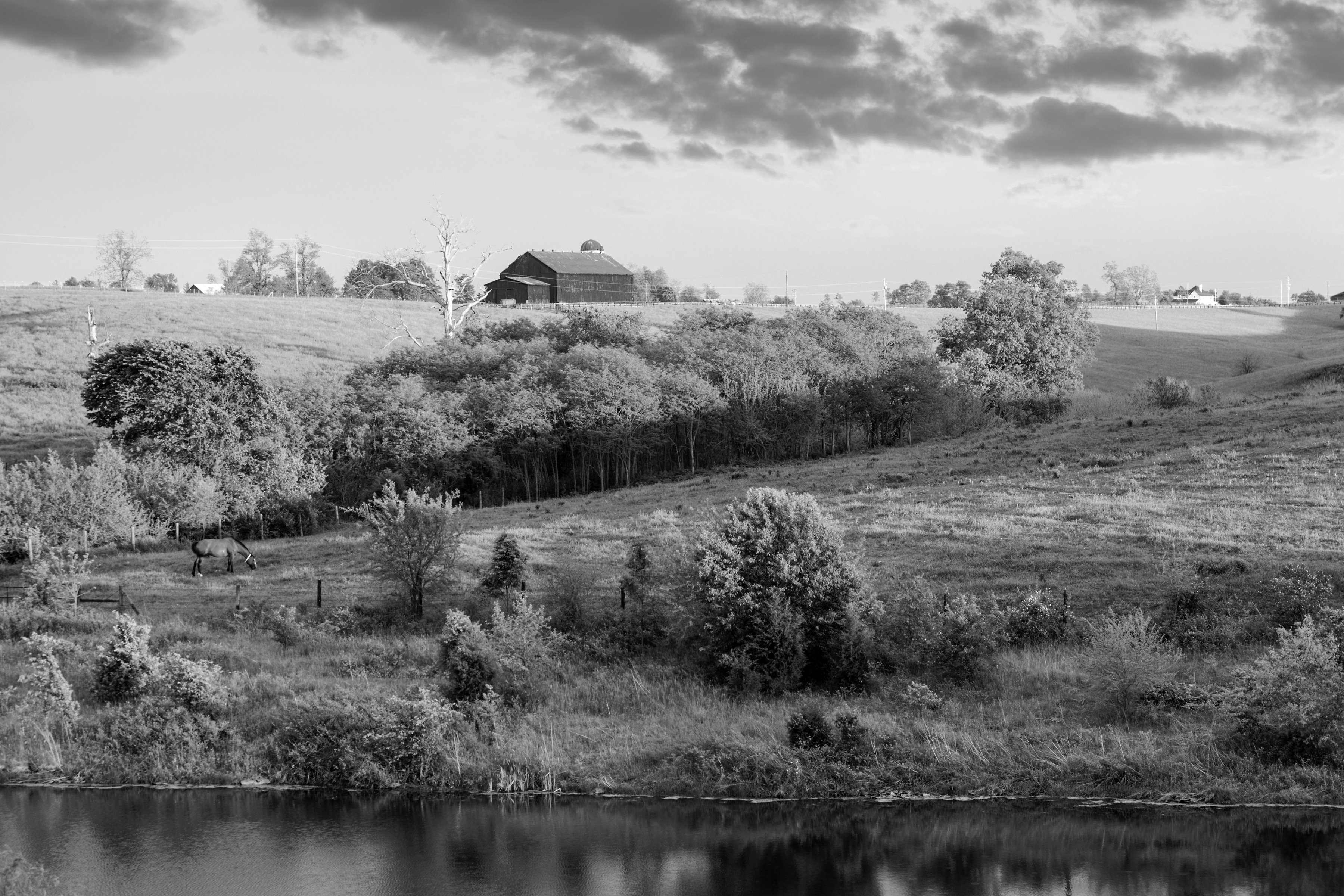 Fototapete Landschaft Schwarz & Weiß