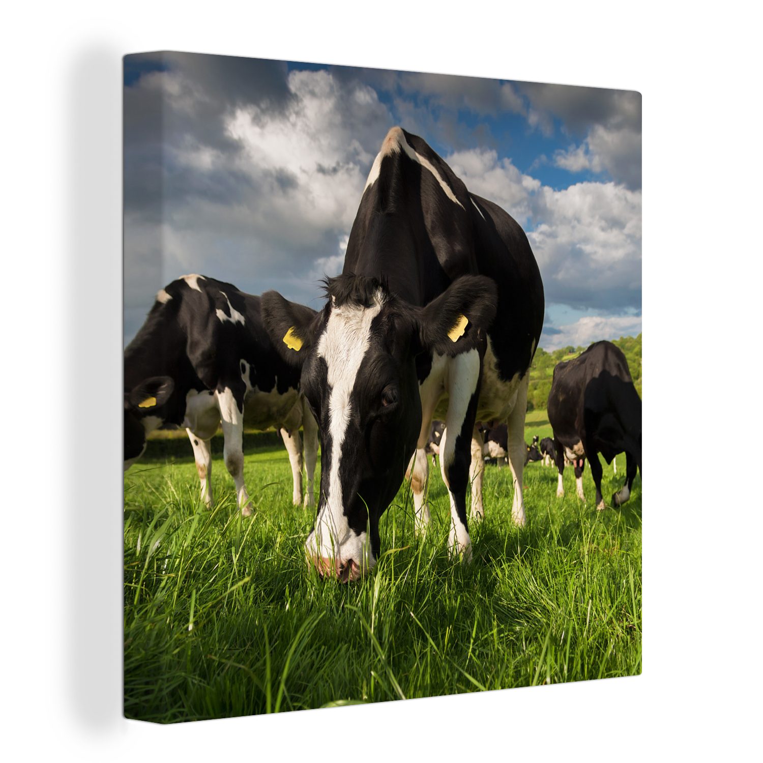 OneMillionCanvasses® Leinwandbild Kuh - Natur - Gras - Tiere, (1 St), Leinwand Bilder für Wohnzimmer Schlafzimmer bunt