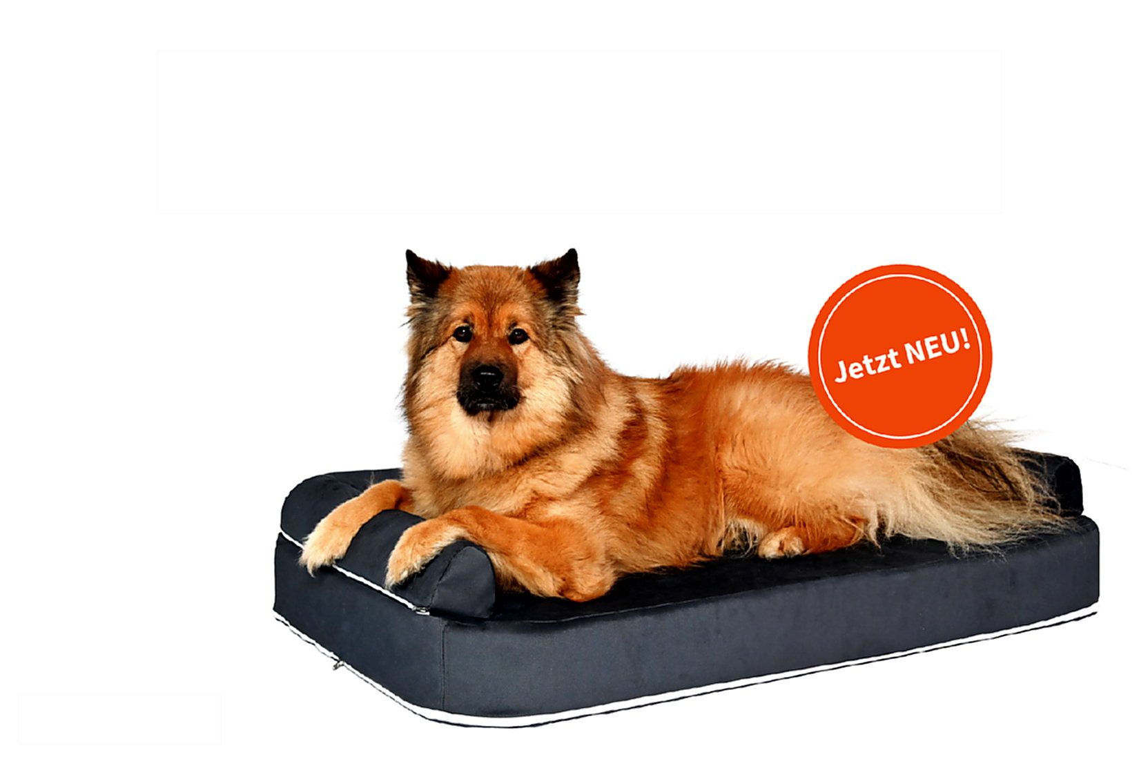 Thumbnail - Strickerchemie Tierbett PetBed, Polyester, Orthopädisches Wasserbett für Hunde und Katzen