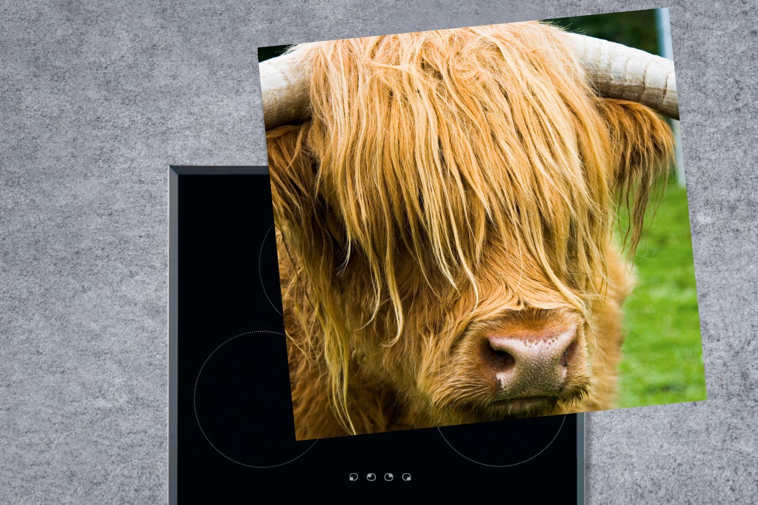 Ceranfeldabdeckung, - - 78x78 Tiere Gras Vinyl, Kuh, - küche - MuchoWow Highlander cm, Herdblende-/Abdeckplatte für (1 Fell tlg), Arbeitsplatte Schottischer