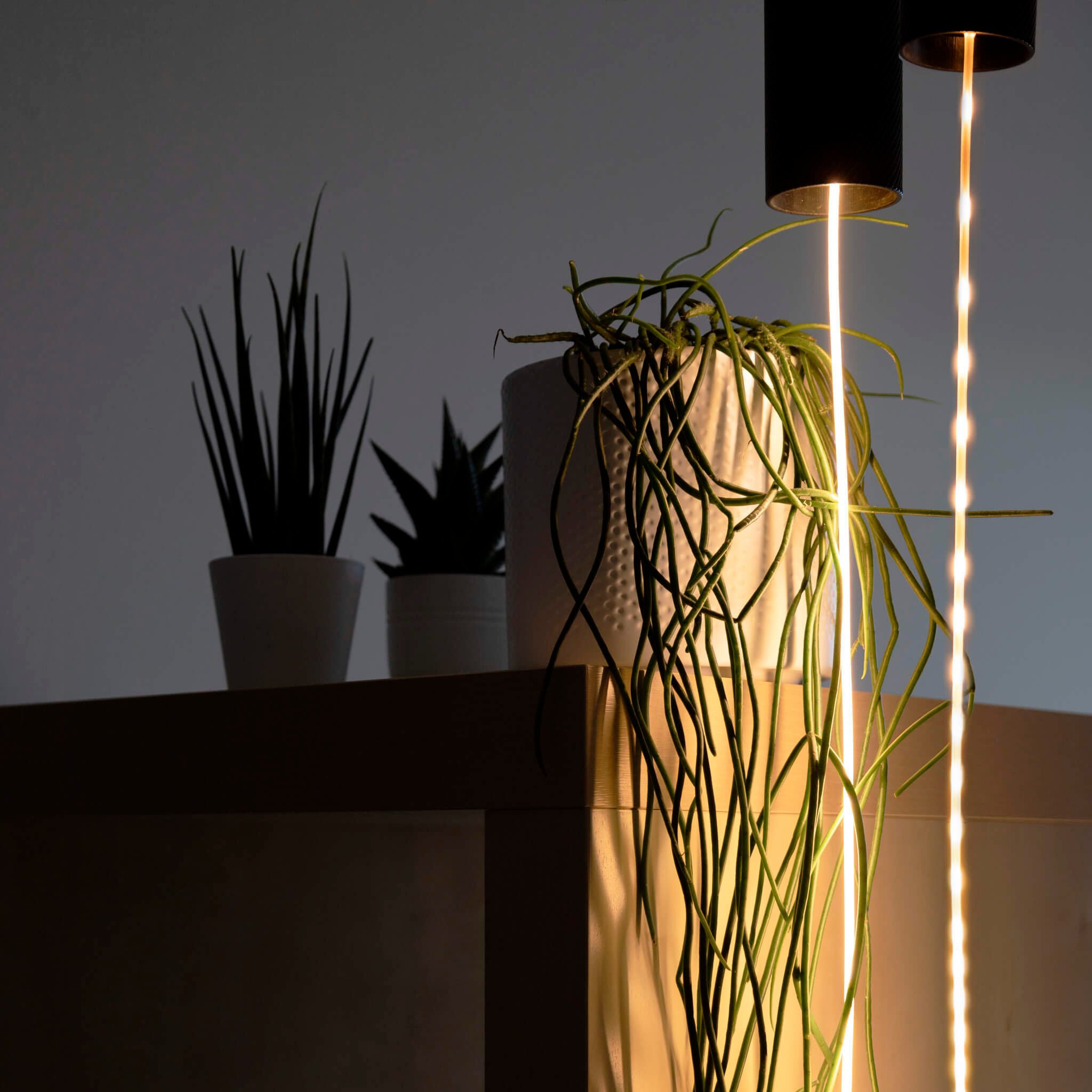 SEGULA LED-Leuchtmittel LED Artline Straight 60, E27, 1 St., Extra-Warmweiß, für vertikal fließende Lichtinstallationen